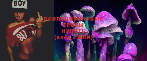 крисы Магадан