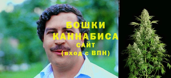 спайс Магас