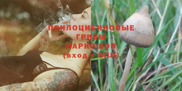 трава Абдулино