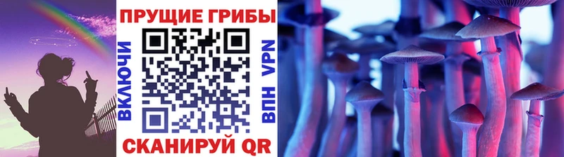 купить наркотики цена  Грозный  Галлюциногенные грибы ЛСД 